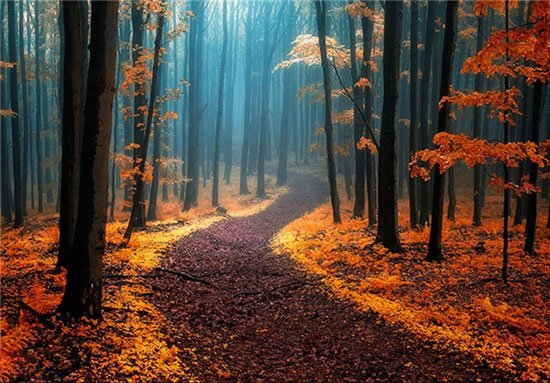  مناظر پاییزی زیبا