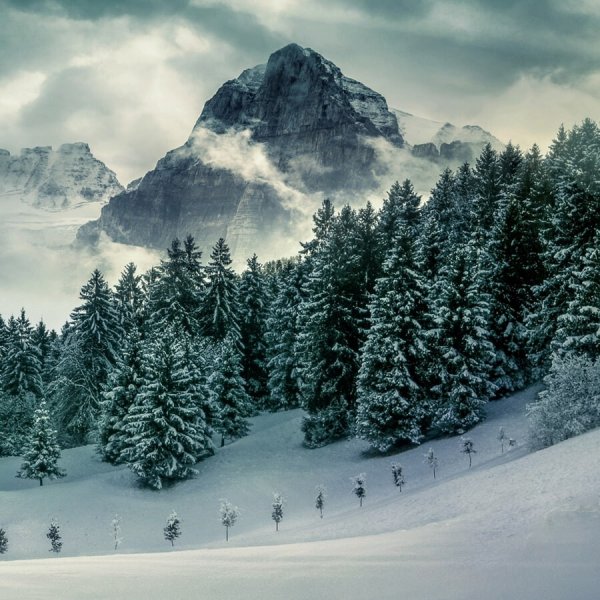  مناظر زمستانی اروپا