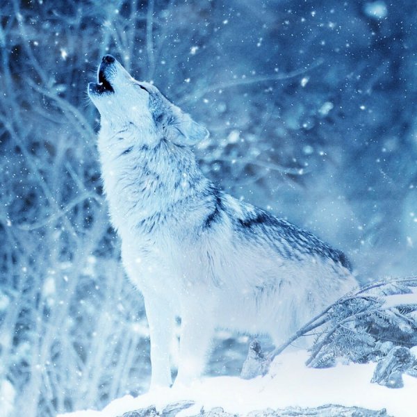  مناظر زمستانی اروپا