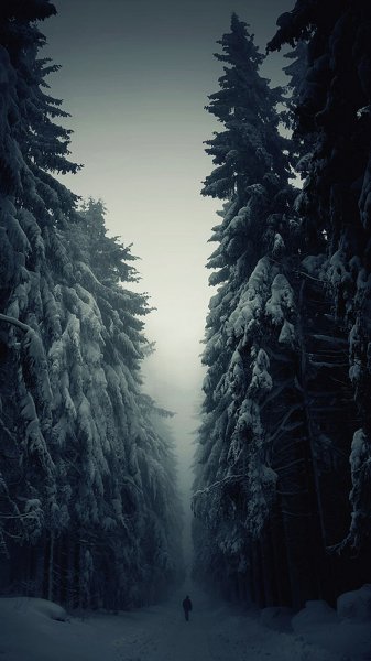  عکس زیبا از مناظر زمستانی