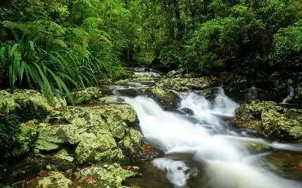  عکس آبشار برای پروفایل