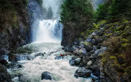  عکس آبشار برای پروفایل