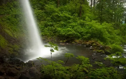  عکس آبشار بهشت