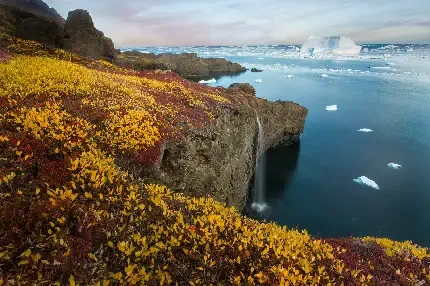  عکس ابشار زیبا