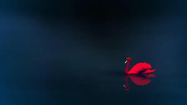  عکس قو در طبیعت