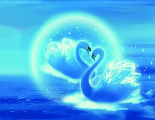  عکس قو در طبیعت