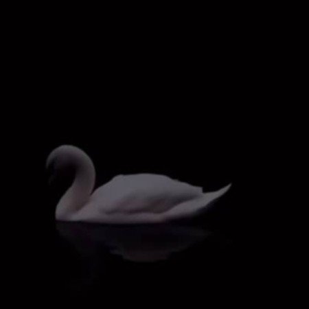  عکس قو غمگین