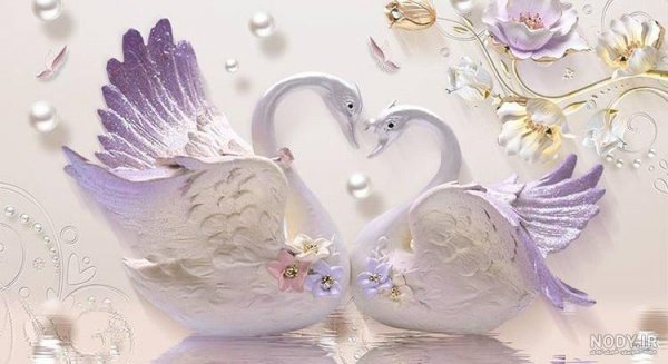  عکس قو فانتزی