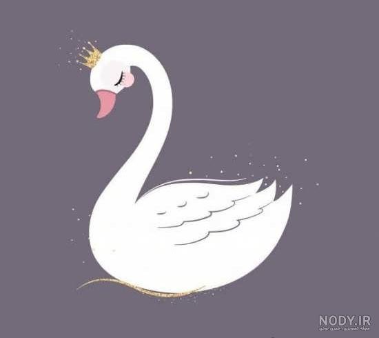  عکس قو فانتزی