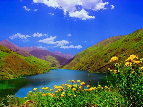  عکس منظره بهاری با کیفیت بالا