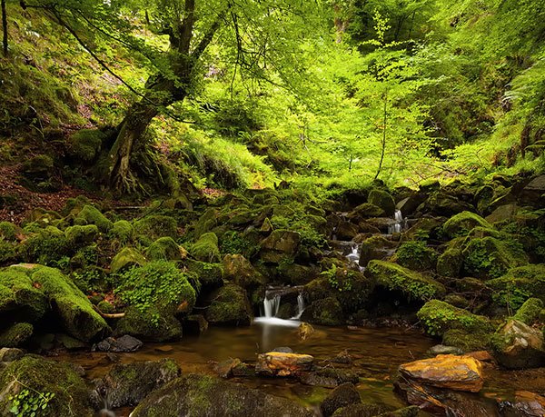  عکس منظره بهاری با کیفیت بالا