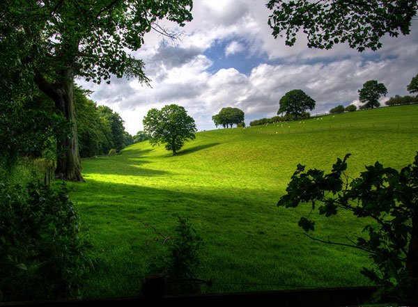  عکس منظره بهاری با کیفیت بالا