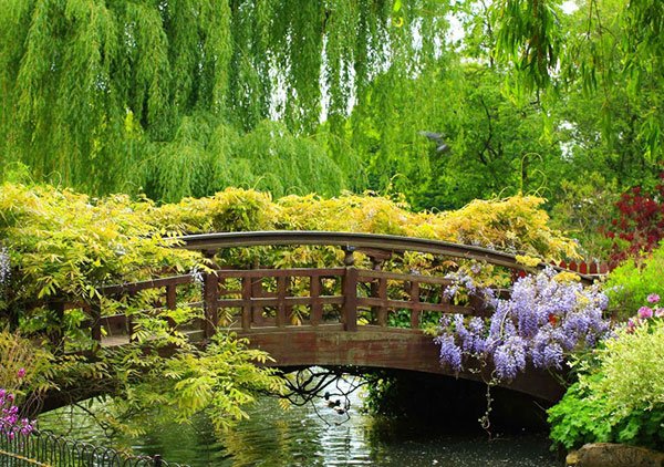  عکس منظره بهاری با کیفیت بالا