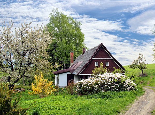  عکس منظره بهاری با کیفیت بالا