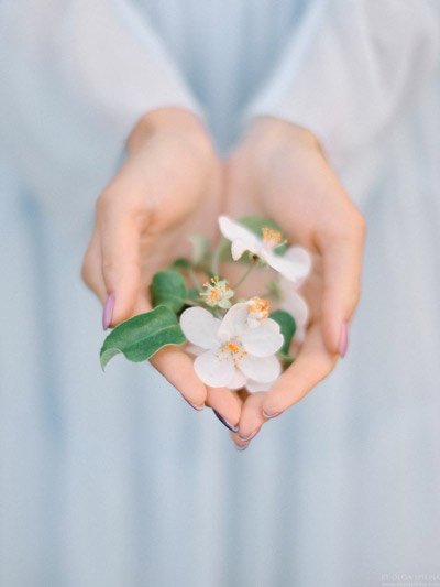  عکس زیبا و رویایی شکوفه های بهاری