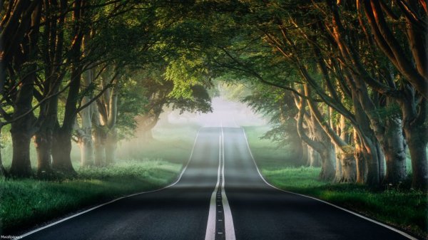 تصویر زمینه طبیعت بهاری