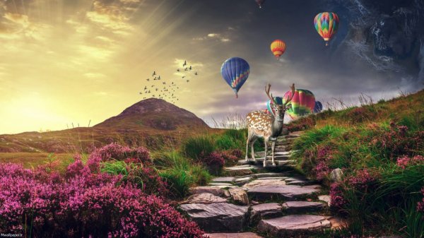  تصویر زمینه طبیعت بهاری