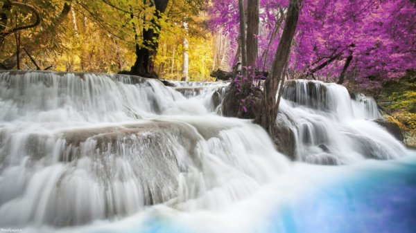  تصویر زمینه طبیعت بهاری