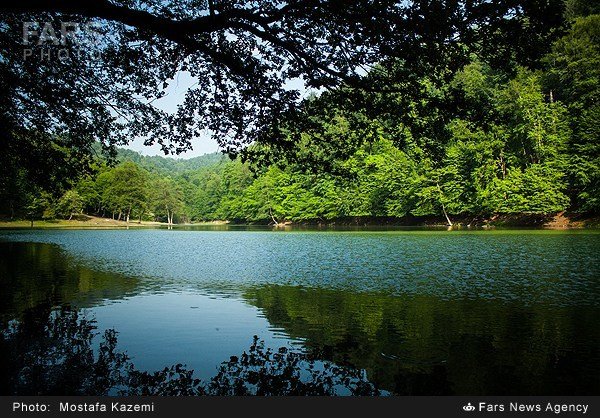 طبیعت بهاری کنار دریاچه