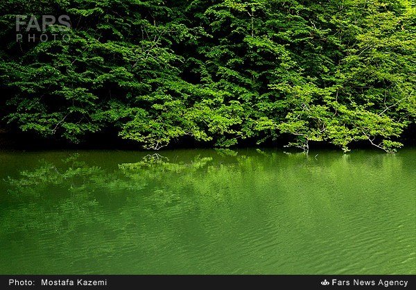  طبیعت بهاری کنار دریاچه