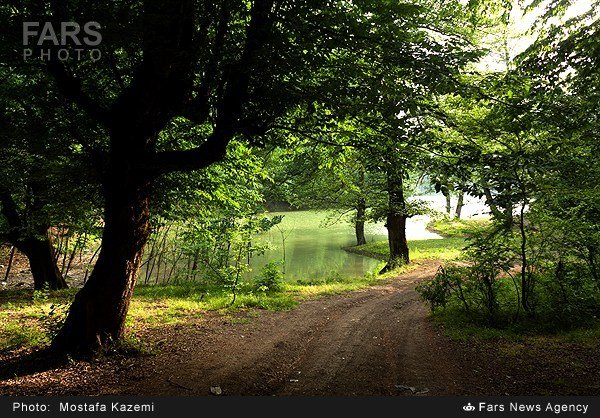  طبیعت بهاری کنار دریاچه