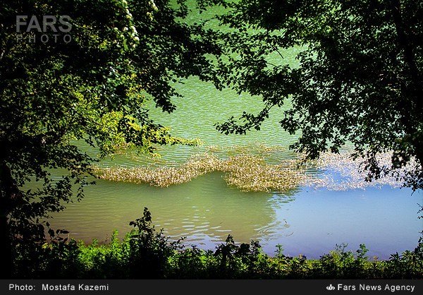  طبیعت بهاری کنار دریاچه