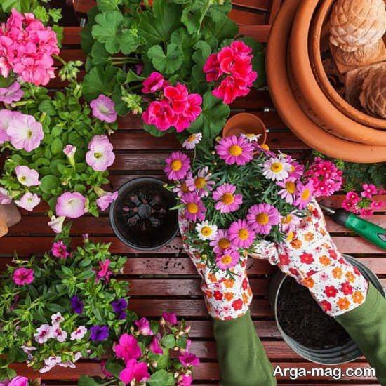  عکس پروفایل واتساپ بهاری دخترانه