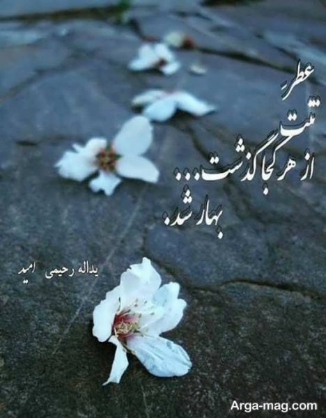  عکس پروفایل واتساپ بهاری دخترانه