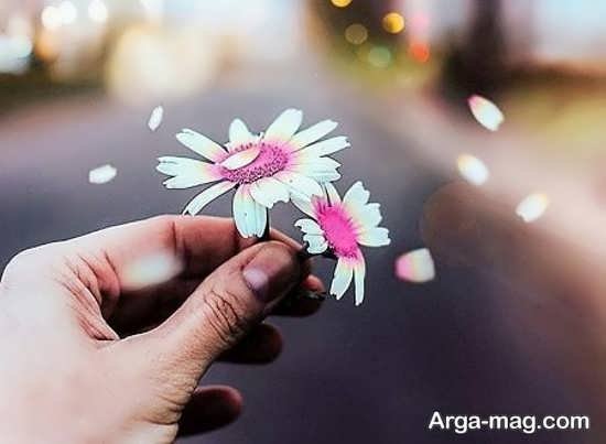  عکس پروفایل واتساپ بهاری دخترانه