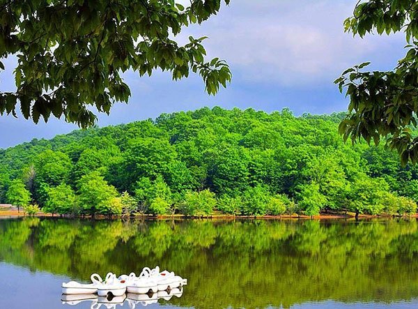  مناظر زیبای بهاری