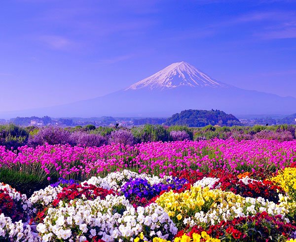  مناظر زیبای بهاری