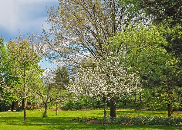  مناظر زیبای بهاری