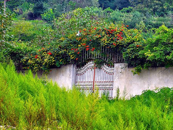  مناظر زیبای بهاری