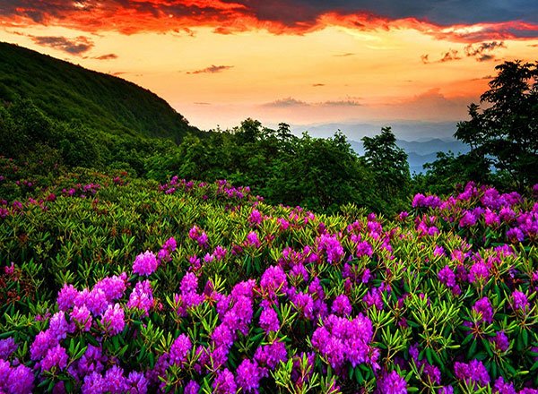  مناظر زیبای بهاری