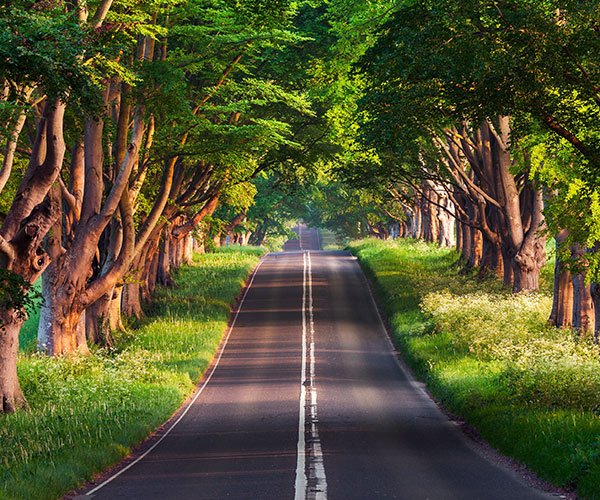  مناظر زیبای بهاری