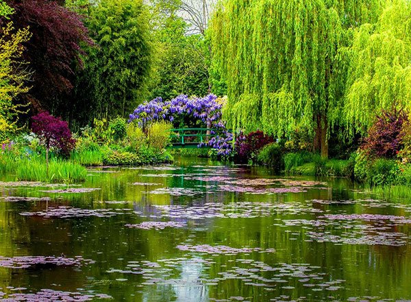  مناظر زیبای بهاری