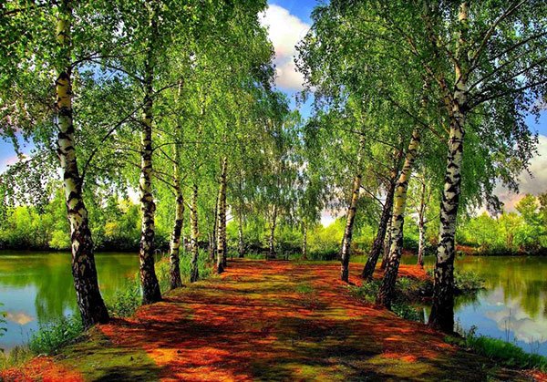  مناظر زیبای بهاری