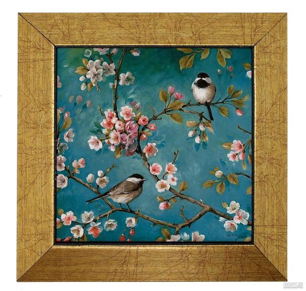  عکس شکوفه بهاری با پرنده