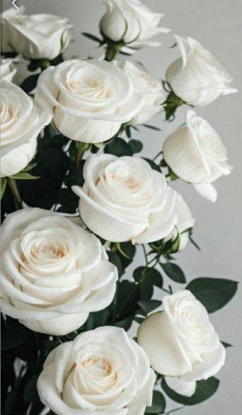  عکس گل برای تصویر زمینه گوشی سامسونگ