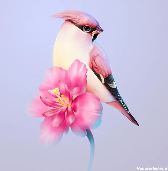  عکس پرندگان زیبا در طبیعت
