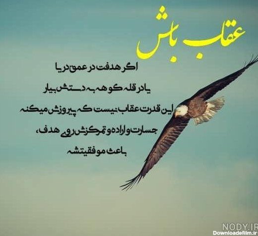  عکس پرنده تنها و غمگین