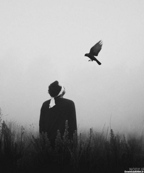  عکس پرنده تنها و غمگین