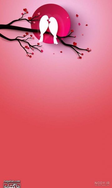  عکس پروفایل پرنده های عاشق