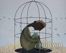  عکس پرنده در حال پرواز از قفس