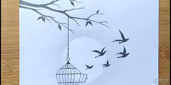  عکس پرنده در حال پرواز از قفس