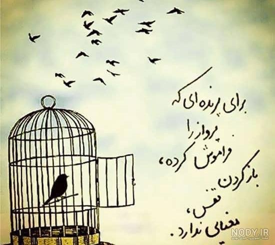  عکس پرنده در حال پرواز از قفس