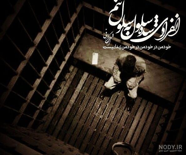  عکس پرنده در حال پرواز از قفس