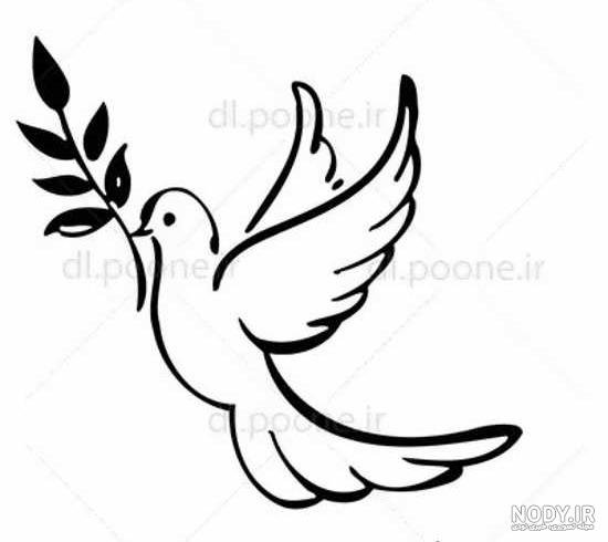  عکس پرنده در حال پرواز نقاشی