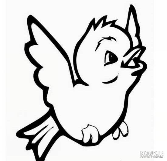  عکس پرنده در حال پرواز نقاشی