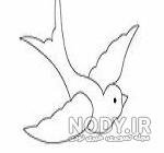  عکس پرنده در حال پرواز نقاشی